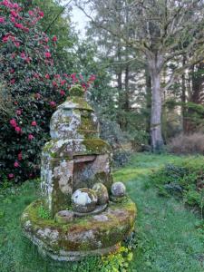 Maison de charme art et campagne