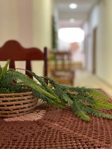 Villa Brilho do Sol Jeri