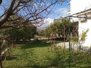 150 metres from the beach