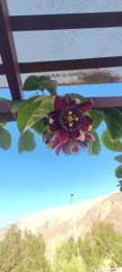 Cabañas Torres del Sol