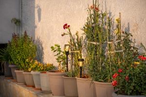 "The Veranda at Acharavi", Lakis Home - Bright and Spacious Apartment in the Centre of Acharavi, Walking Distance to the Beach