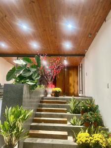 AnhTran Apartments - studio Gác Lửng