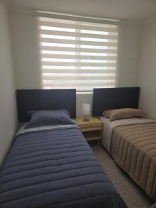 Pacific blue pequeño oasis