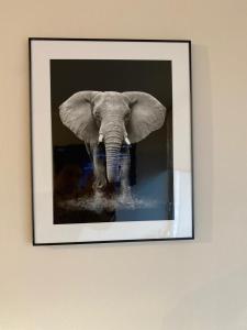 Depto nuevo, cerca de mall, estacionamiento gratis