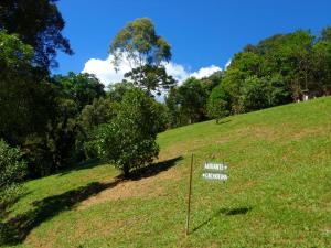 bangalô de luxe E chales caminho do escorrega