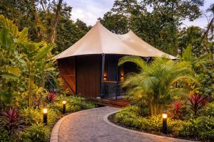 Tifakara by the Waterfall