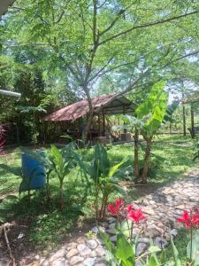 Casa de Hospedaje Pacho Mordisco