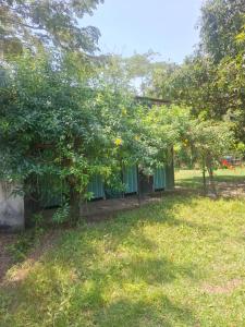 Casa de Hospedaje Pacho Mordisco