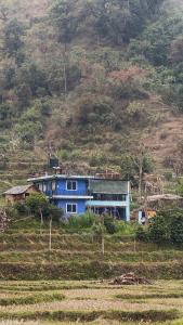 Mantra Mountain Organic Homestay