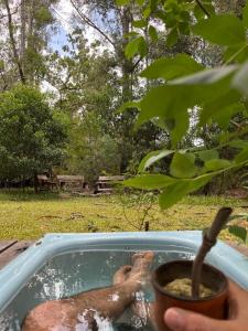 Rancho magnífico inmerso en el bosque protegido