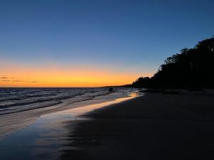 Rancho magnífico inmerso en el bosque protegido