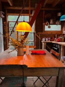 Rancho magnífico inmerso en el bosque protegido