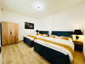 Modern Gem near Karlovy Vary Center