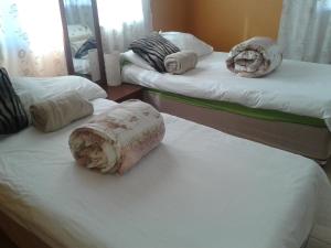 Paradise Camp Rooms