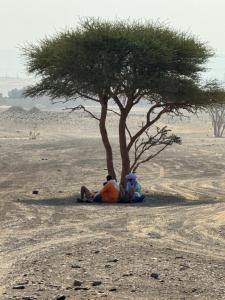 Merzouga Infinity Dunes Camp