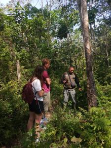 Batu Katak Jungle River & Trekking
