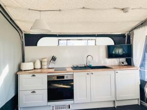 Kingfisher - Ukc8198