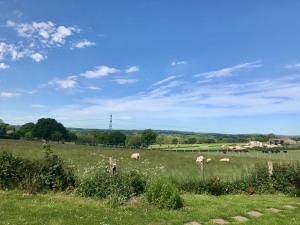 Heartsease - Ukc5951