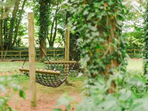 Number Six - Ukc4968