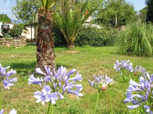 Maisons de vacances Cozy Holiday Home in Moriani Plage with Swimming Pool : photos des chambres