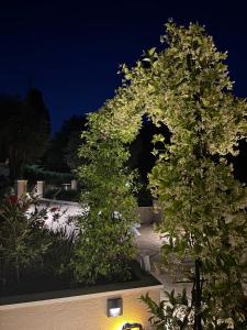 Cozy Apartment in Kato Korakiana