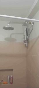 Maurin 325