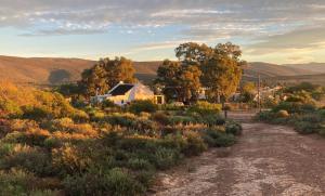 The House on the Hill