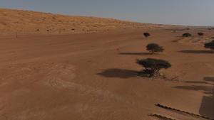 Sand Camp Oman