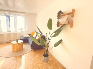 Neues Apartment, 5 Min bis zum Westfield Center