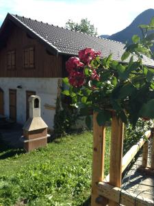 Sejours a la campagne Les Bordes De Paloumieres : photos des chambres