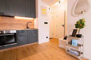 Krivoo Apartments II - Private Parking