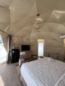 Yoval Dome B
