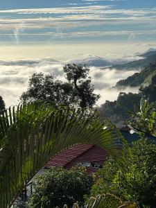 The Misty Heaven