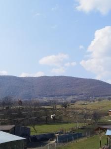Pensiunea Bocca Del Rio