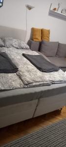 Zlatibor Apartman Nikolic