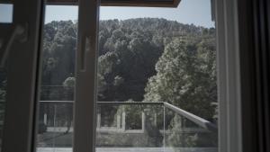 Pine Needles kasauli