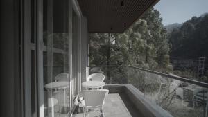 Pine Needles kasauli