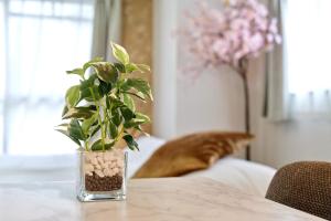 道頓堀 -15m Dotonbori, 35m USJ, Direct to Umeda - XS24