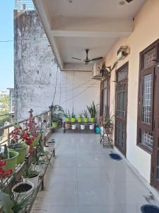Sun Light Apartment