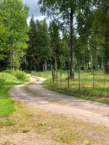 Johansberg ein Schwedischer Traum!