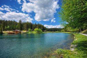 Apartment Lale - Frankenwald, Seeblick & Rennsteig
