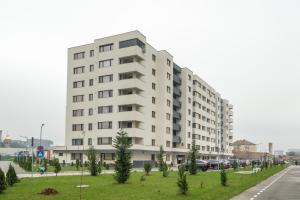 Ivory Concept Studio 53