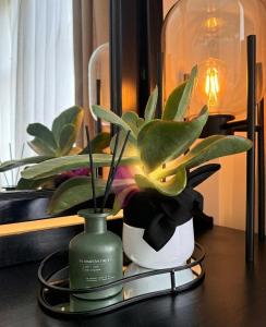 Lovely Apartment in Roodepoort