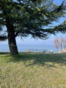 Sirmio Green Shore By Bookinggardalake