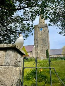 Olive Buildings - Spa Room Garden and Parking Permit