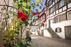 Ein ganzes Haus für sich allein in Biberach