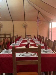 Tasnim Désert Camp & Activités