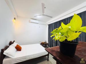 Sunshine Villa Madu River