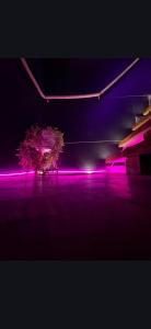 dark love suite avec Jacuzzi Privatif