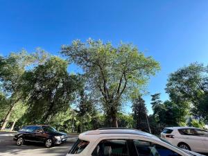 Studio one bedroom Arriaga St Madrid